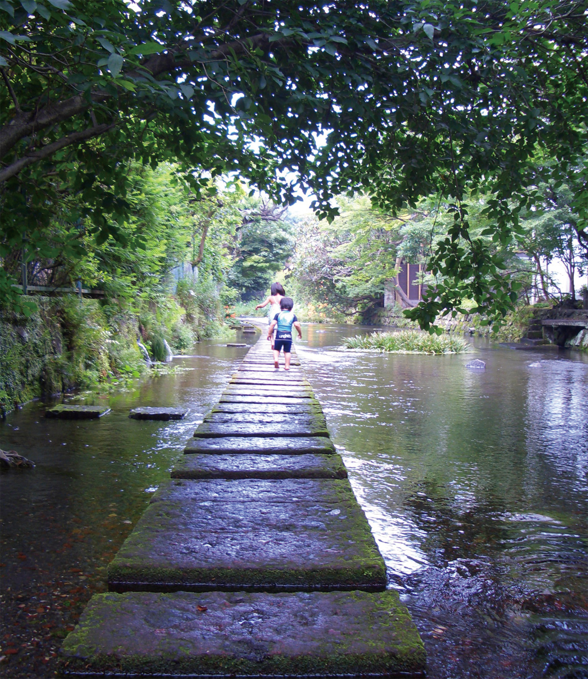 静岡県三島・源兵衛川