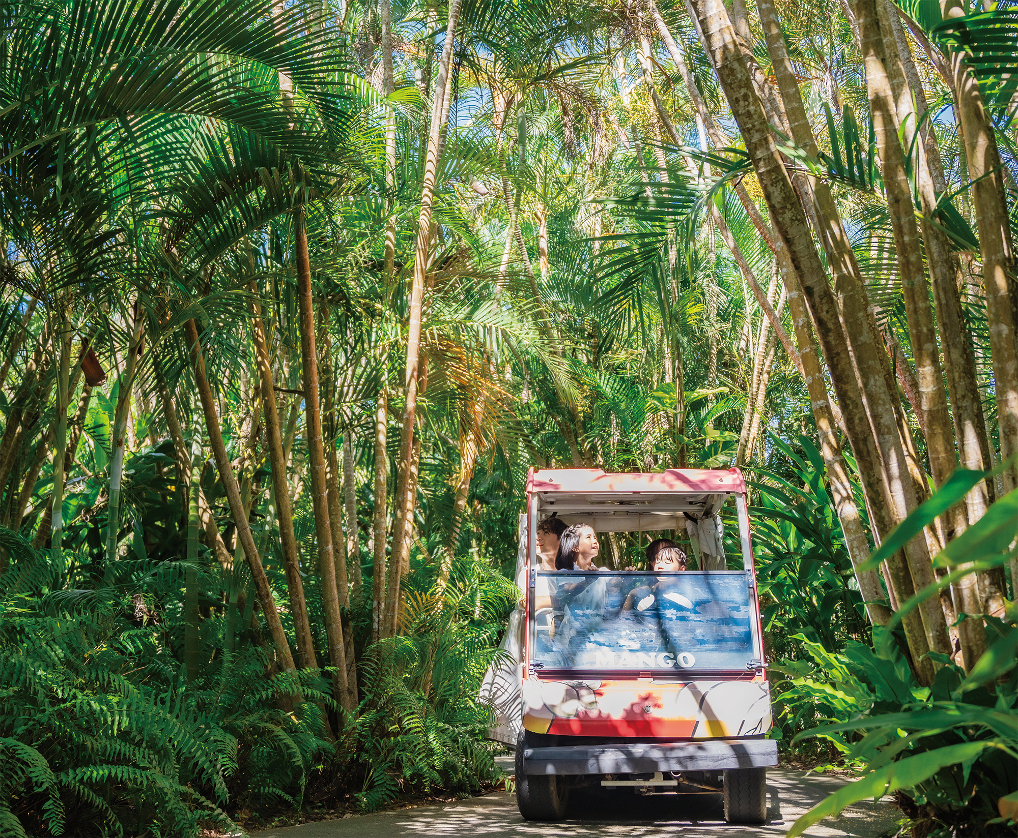 宮古島熱帯果樹園「まいぱり」
