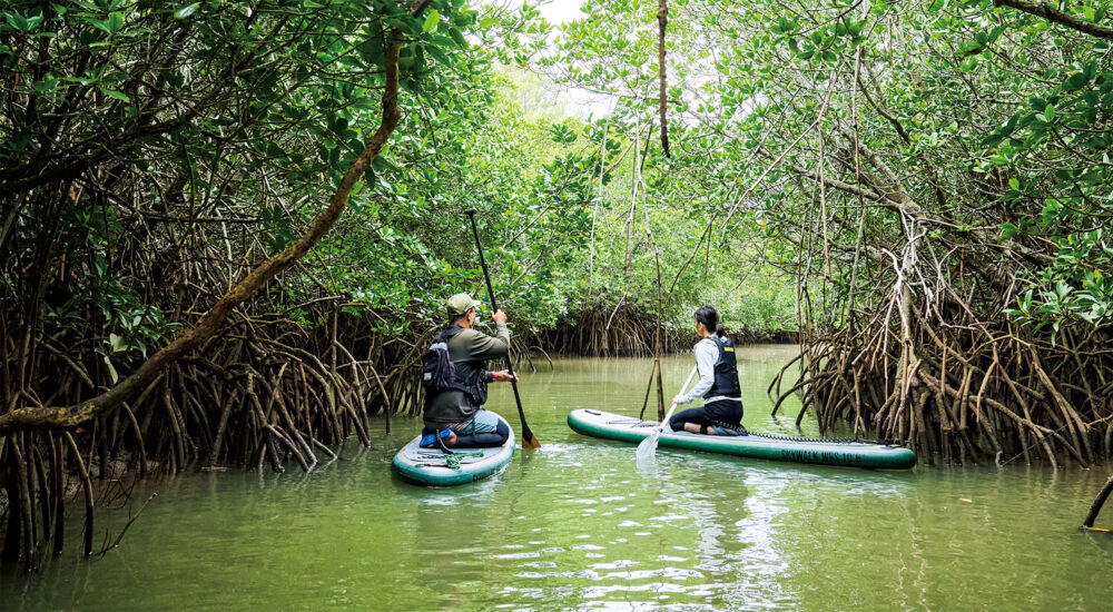 海水と地下水がつくる、命のリズム