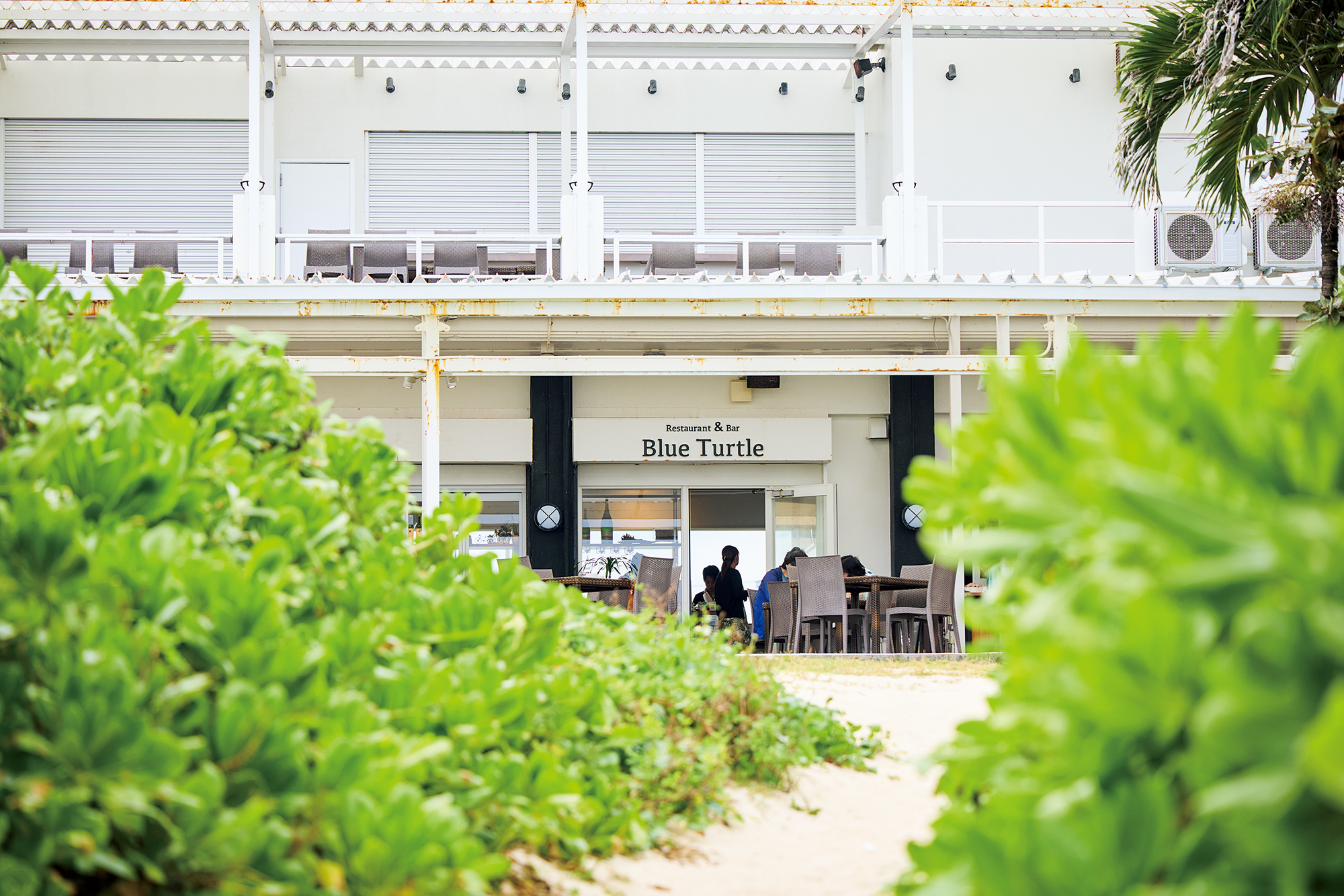 伊良部島 オーシャンビューのレストラン&バー「ブルータートル」