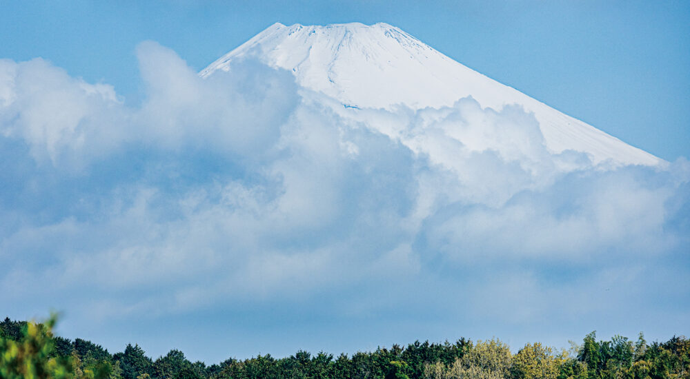 三島の水、ななつの味わい