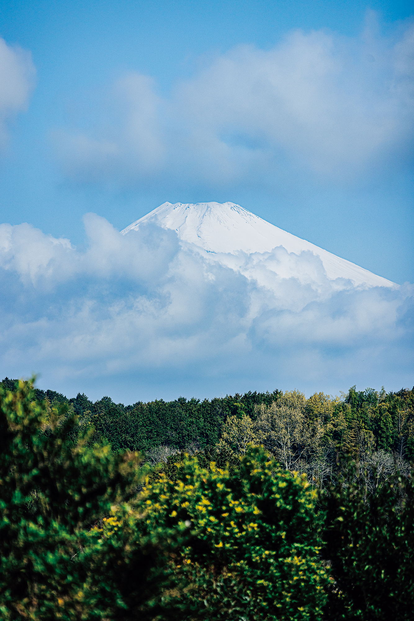 富士山